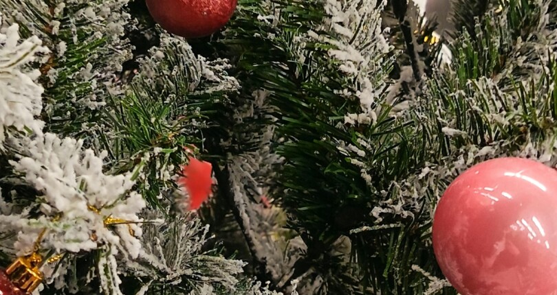 Opening hours during the holidays