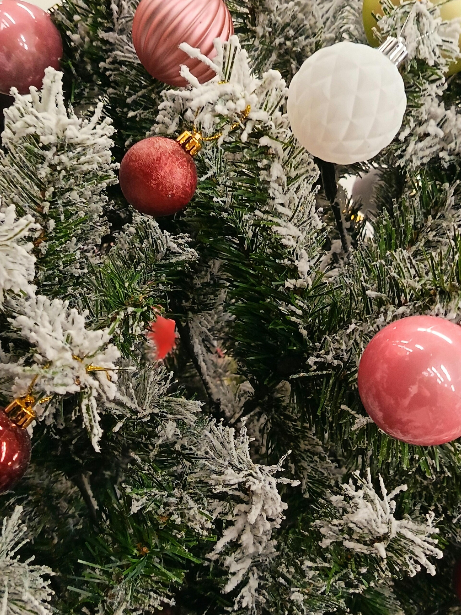 Opening hours during the holidays