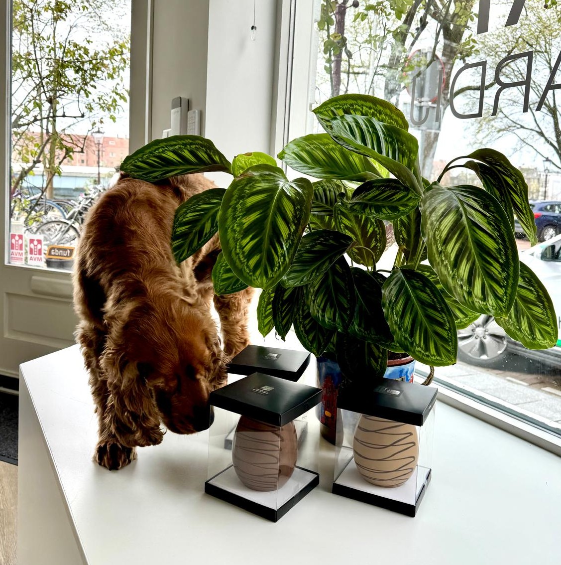 Opening hours during Easter